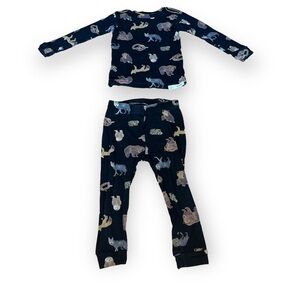 Kid's Gap National Geographic Wild Animals Long Pajama Set